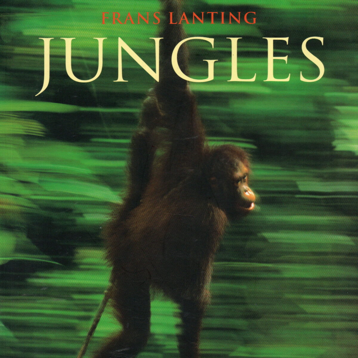 Scan_20250126-24-scaled Frans Lanting - Jungles -