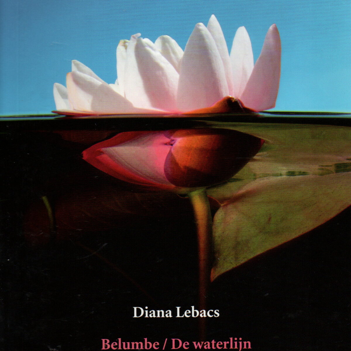 Belumbe/De waterlijn
