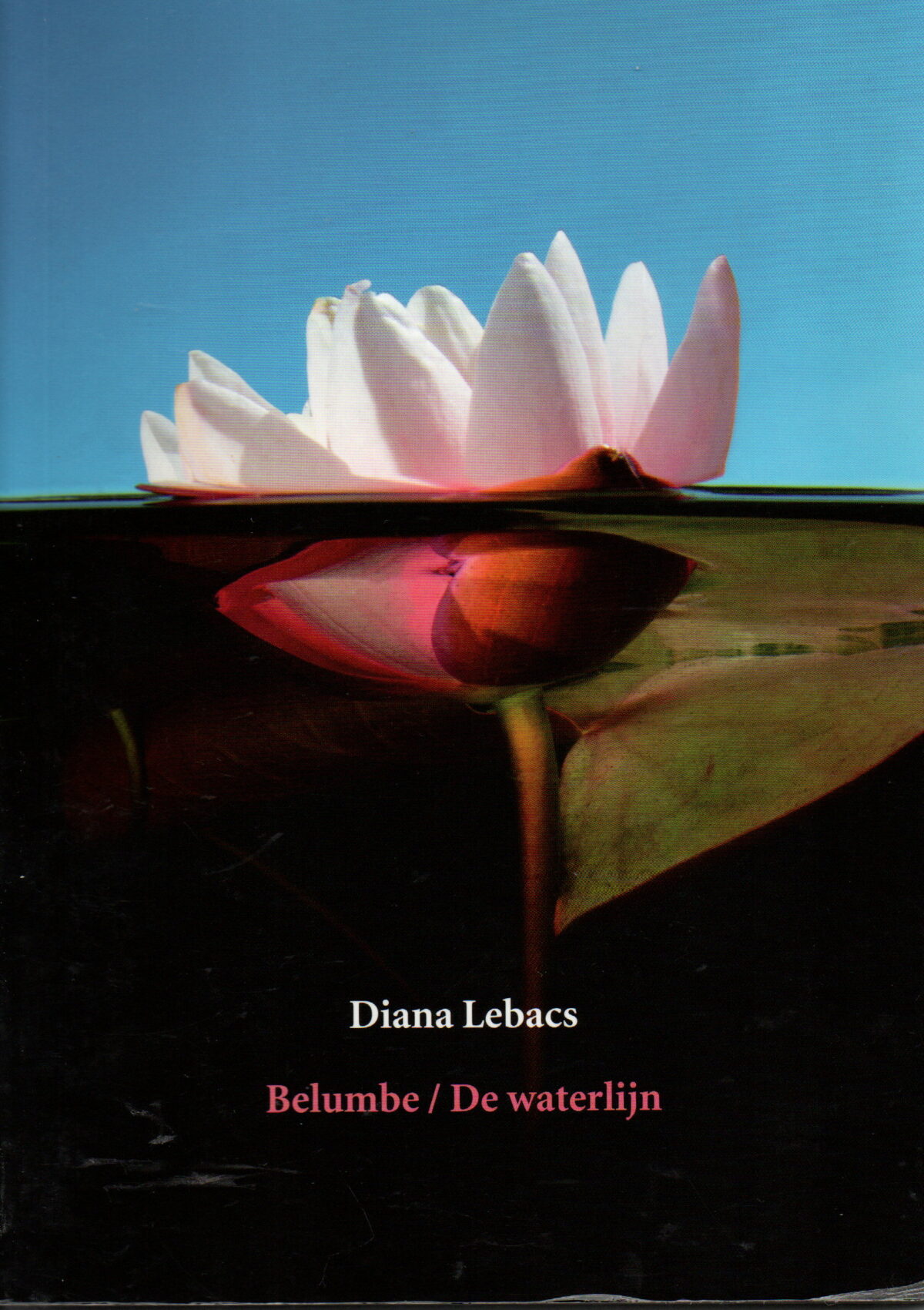 Scan_20250126-6 Belumbe/De waterlijn