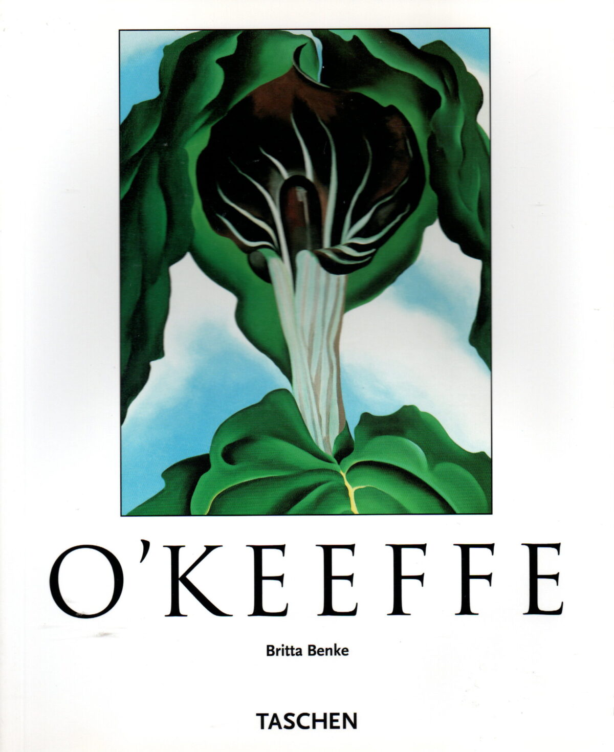 O'Keeffe 1887-1986 - Bloemen in de woestijn -
