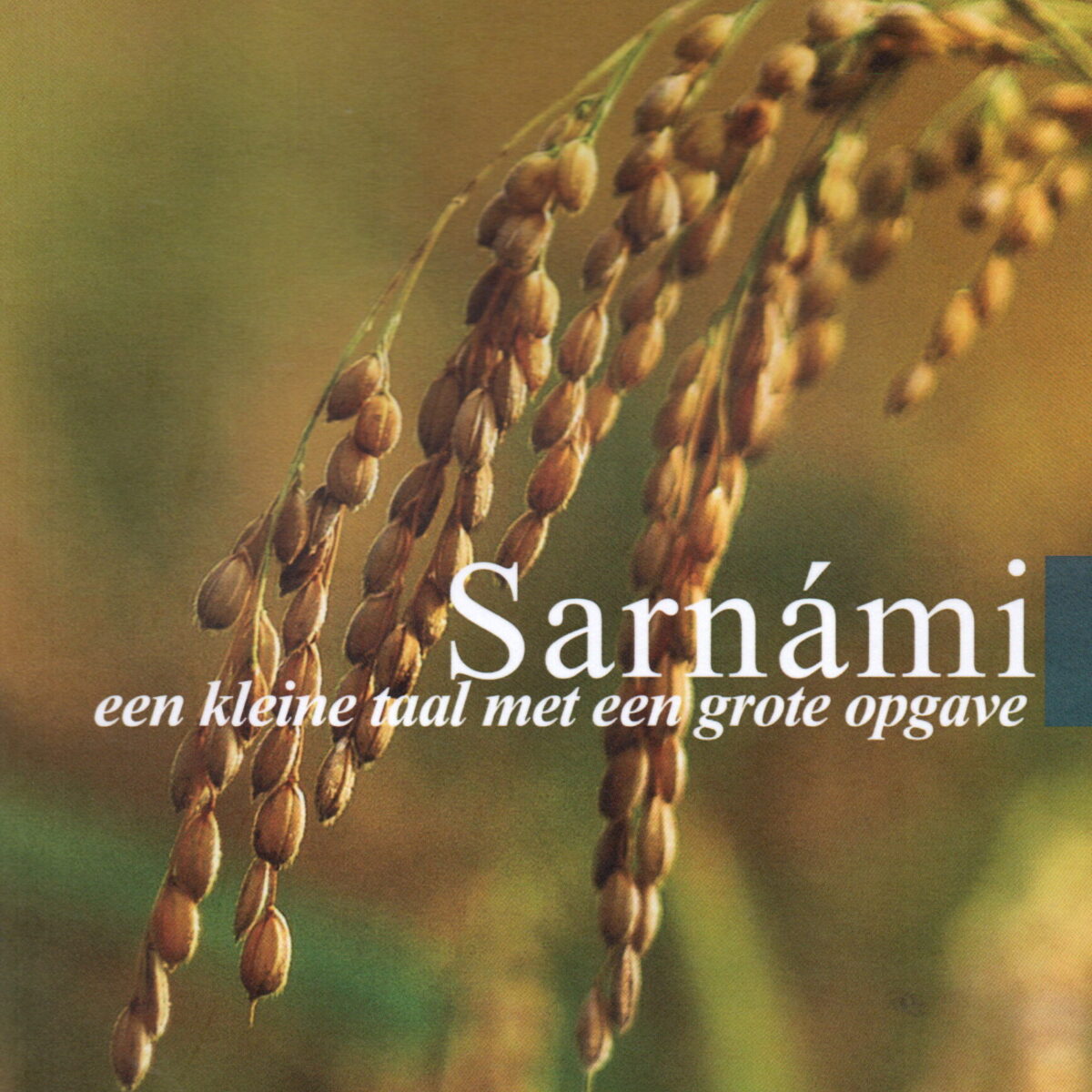 Sárnami - een kleine taal met een grote opgave -