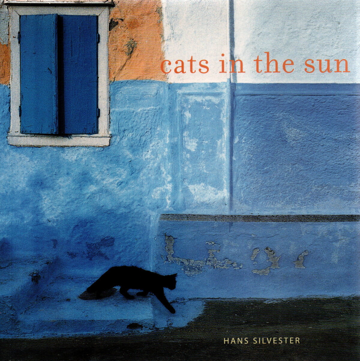 Scan_20250223-4 Cats in the sun