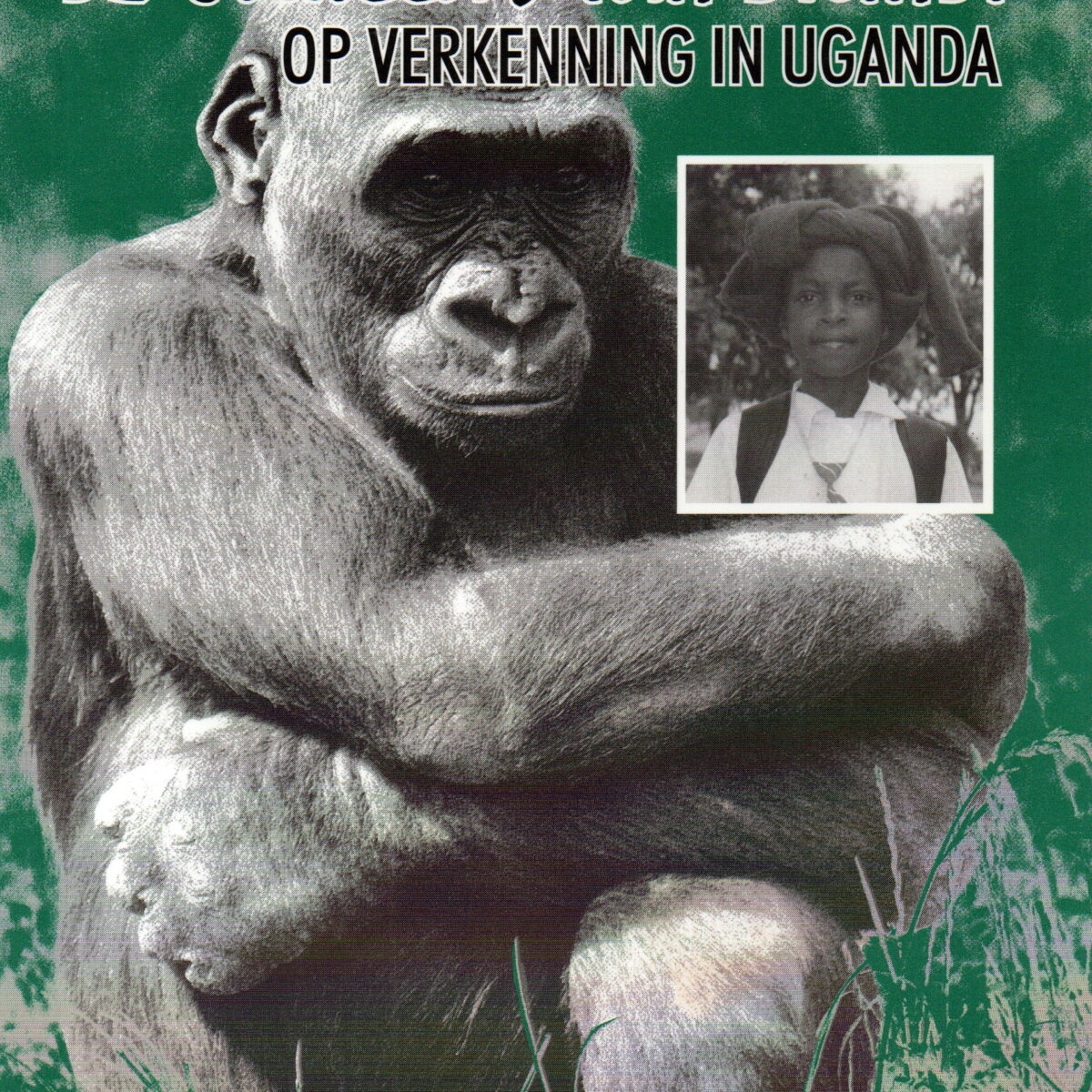 De gorilla's van Bwindi - Op verkenning in Uganda -