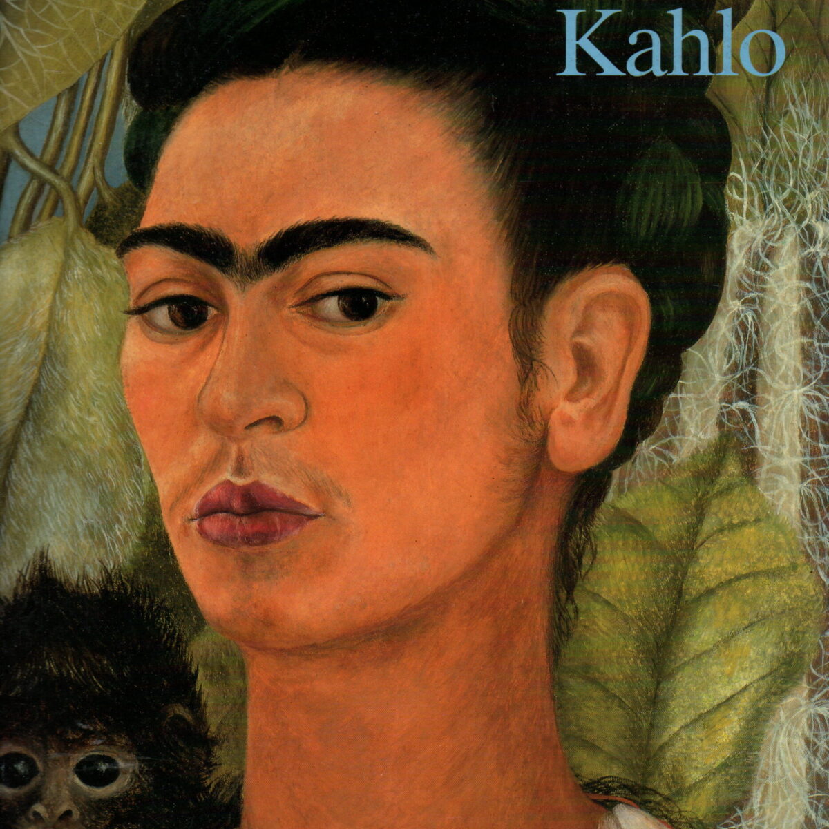 Frida Kahlo - 1907-1954 - Leed en hartstocht -