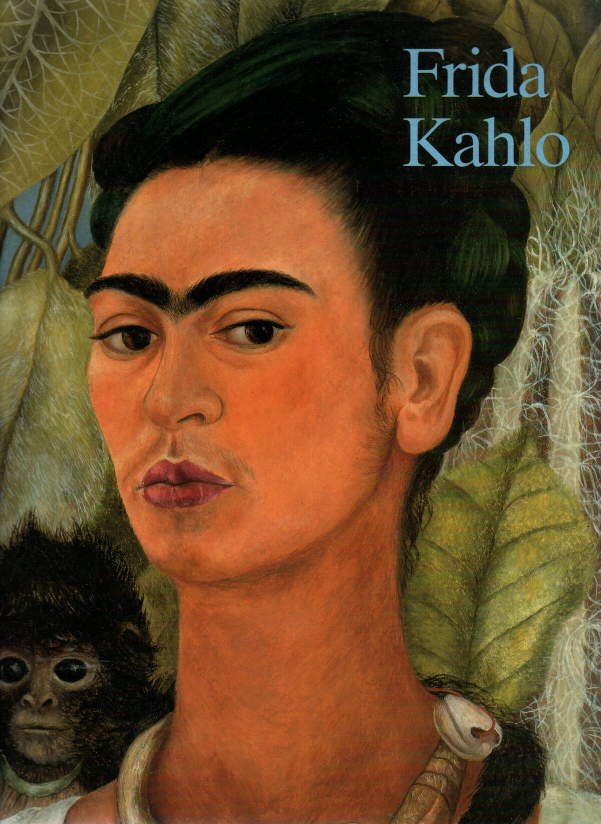 Frida Kahlo - 1907-1954 - Leed en hartstocht -