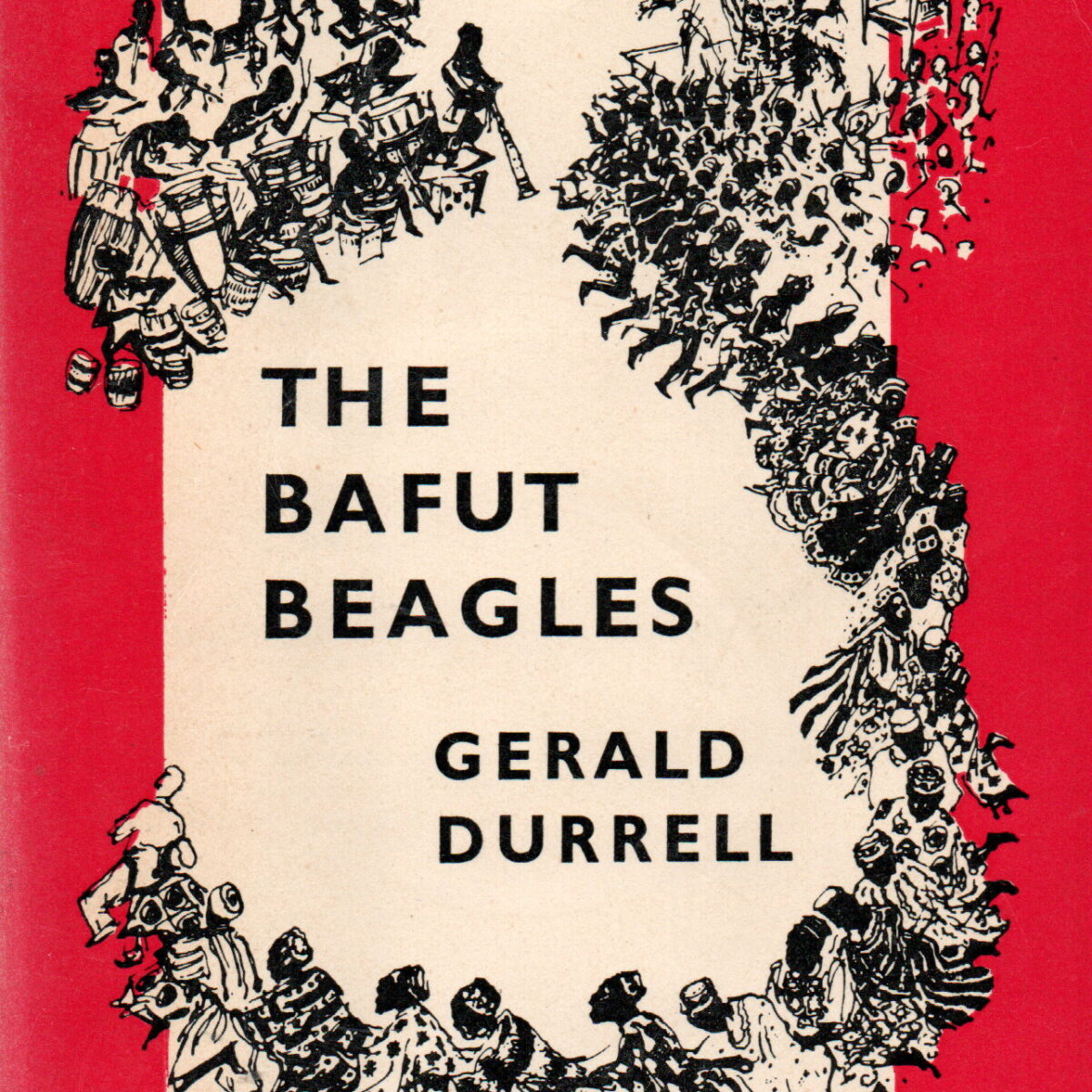 The Bafut Beagles