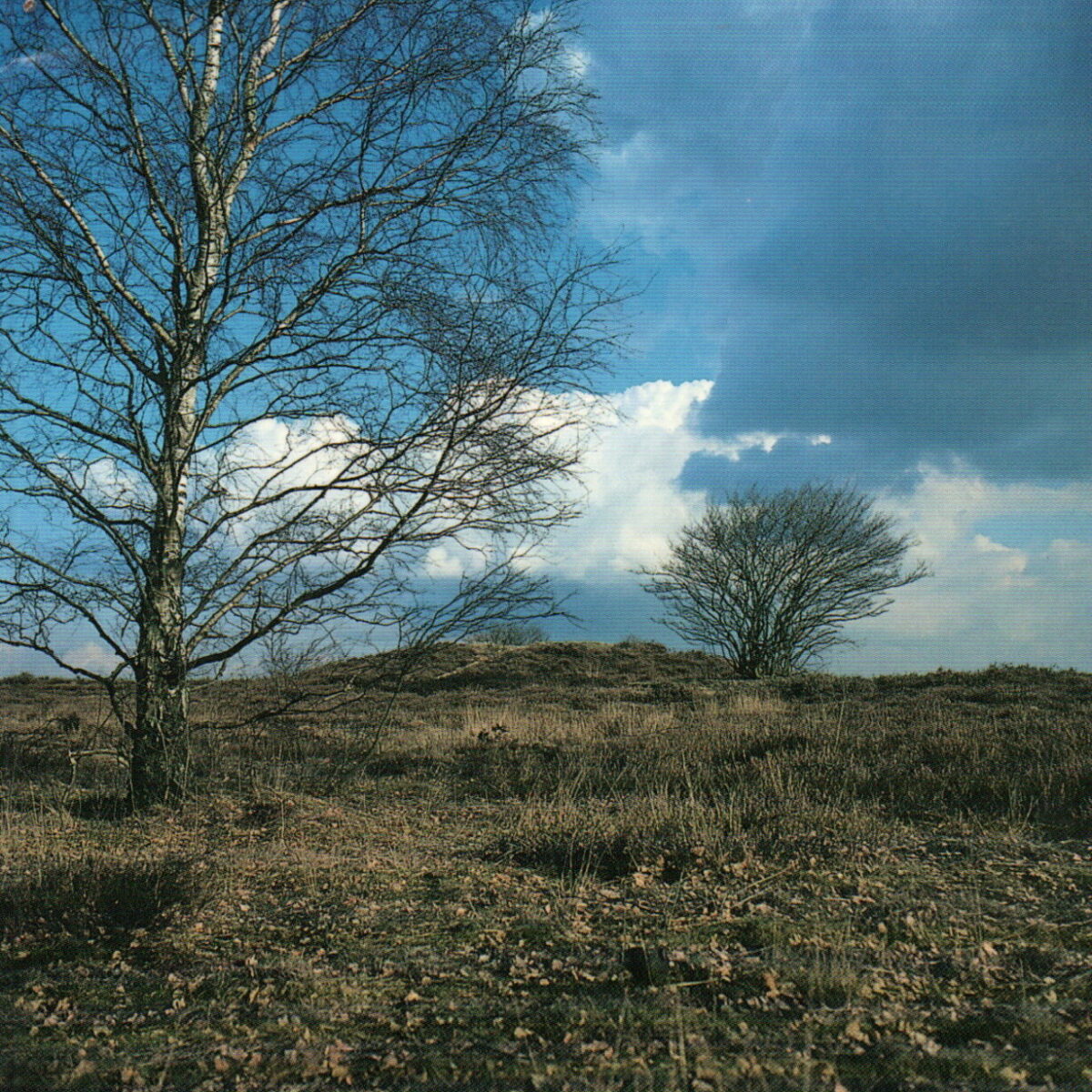 Wandelen in archeologisch Nederland