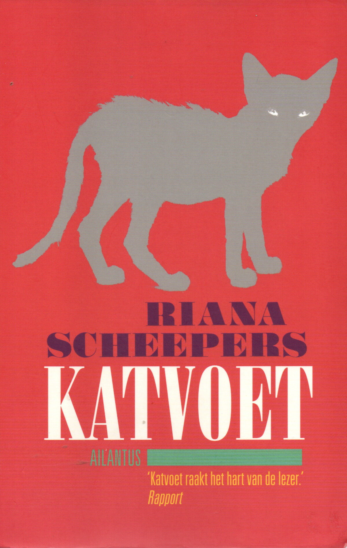 Scan_20250528-4 Katvoet