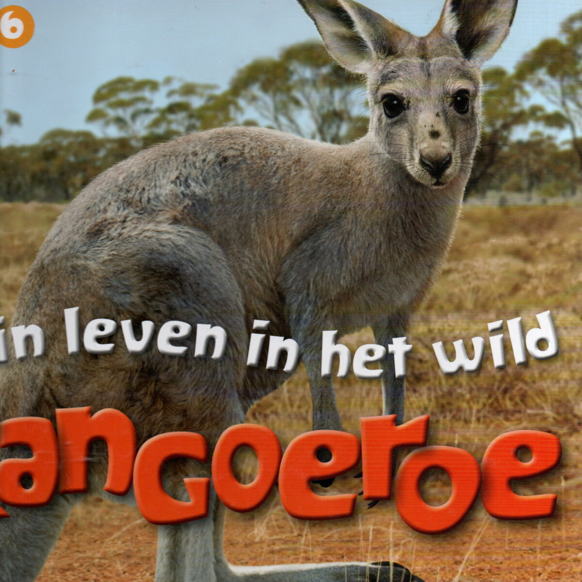Mijn leven in het wild - Kangoeroe -