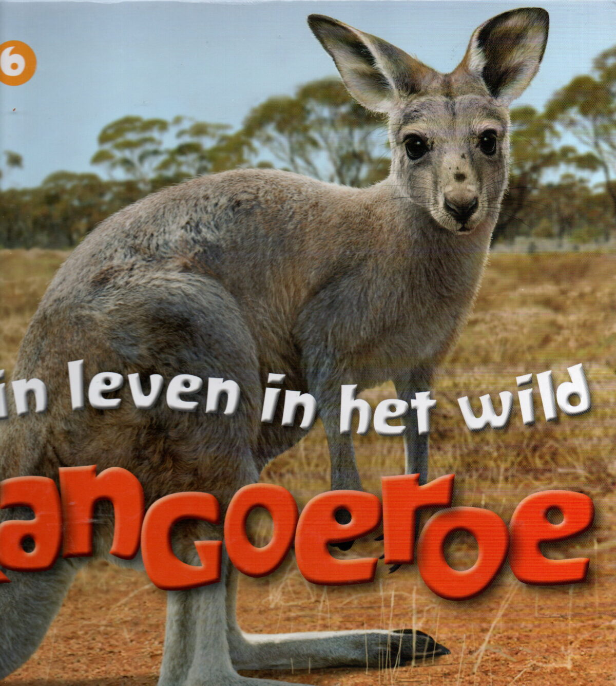 Scan_20250615-10-scaled Mijn leven in het wild - Kangoeroe -