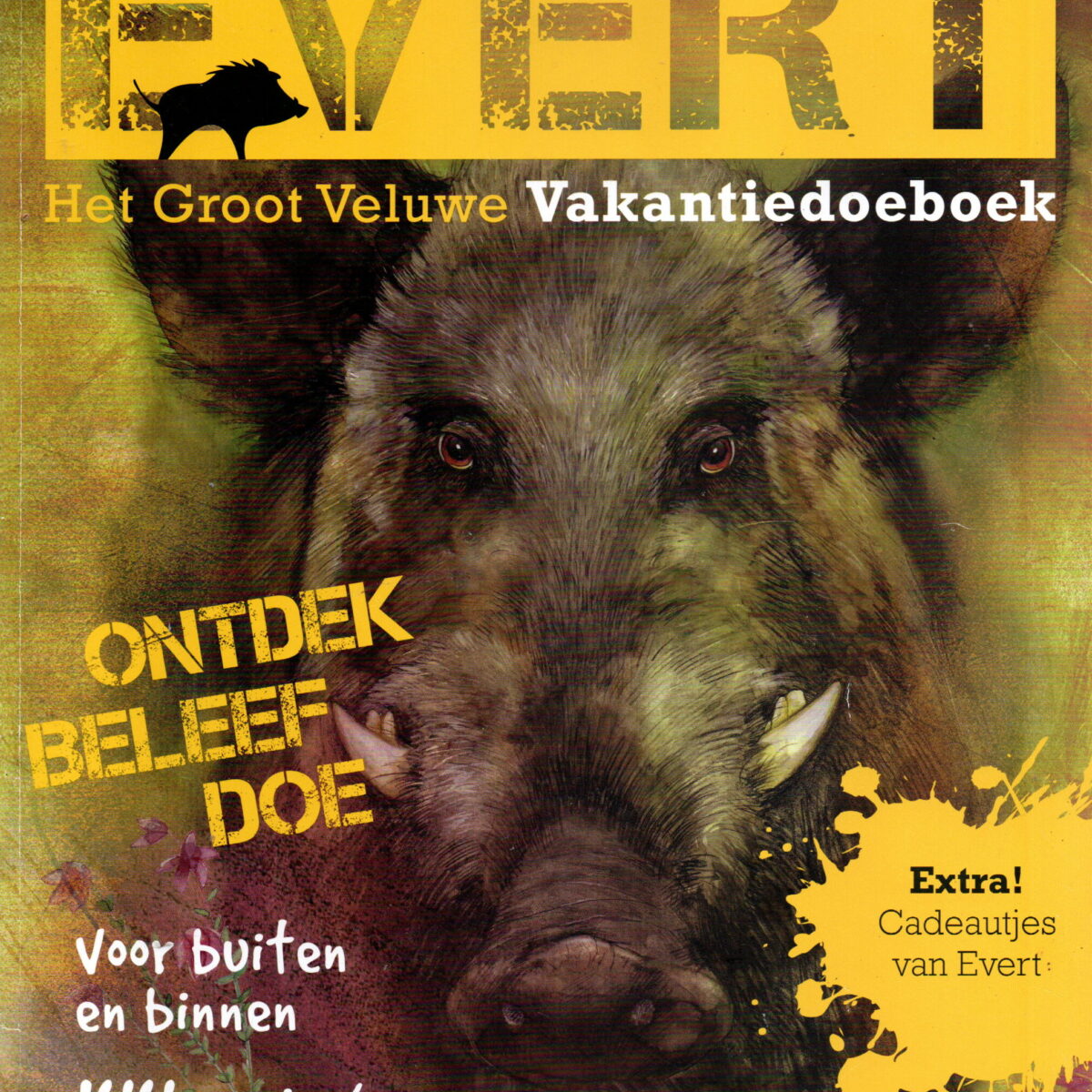 Evert - Het Groot Veluwe Vakantiedoeboek - Ontdek, beleef, doe - Voor buiten en binnen -
