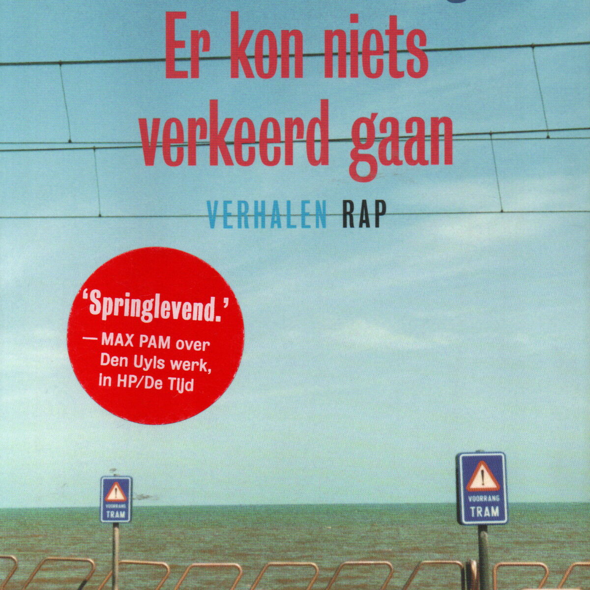 Er kon niets verkeerd gaan - Verhalen -