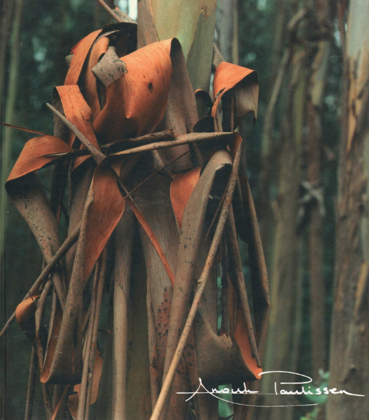 Scan_20250824-11-scaled Anouk Paulissen