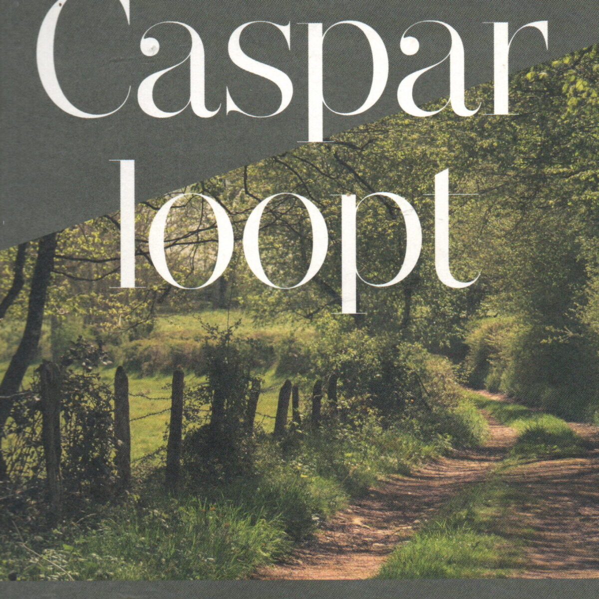 Caspar loopt - Een voettocht door de landschappen van Nederland -