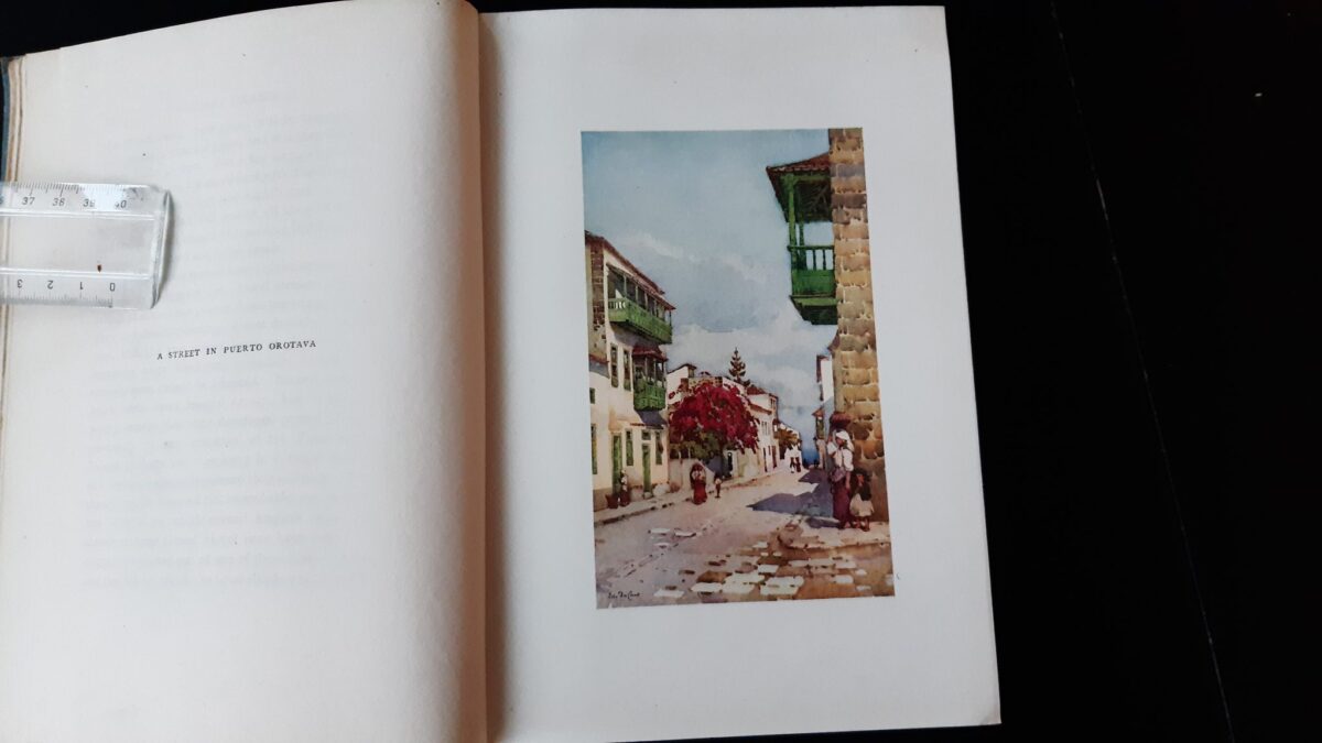 canary-islands-illustratie-scaled The Canary Islands