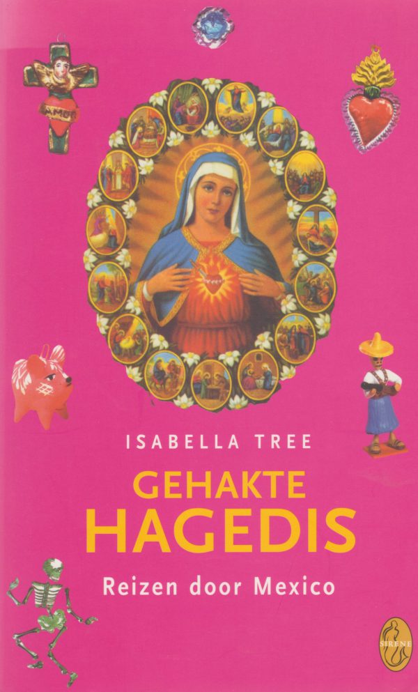 Gehakte hagedis - Reizen door Mexico -