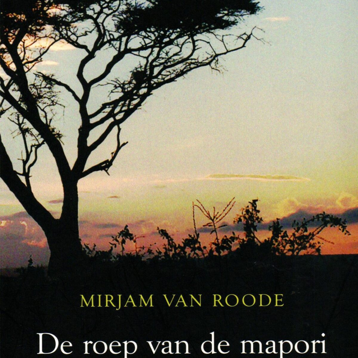 De roep van de mapori - Een Nederlandse vrouw over haar leven en werk in Kenia -