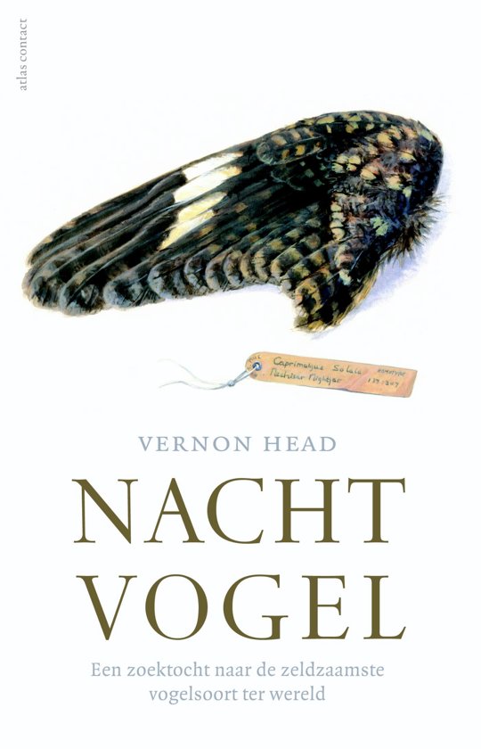Nachtvogel