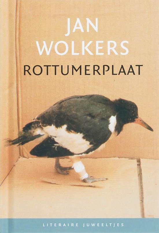 Rottumerplaat