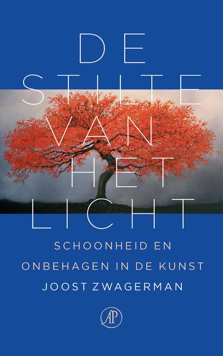 De stilte van het licht - Schoonheid en onbehagen in de kunst -
