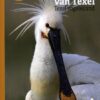 texel Vogels van Texel - Texel vogeleiland - inclusief een vogelkijkkaart van Texel met alle vogelkijkpunten -