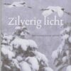 zilverig-licht Zilverig licht