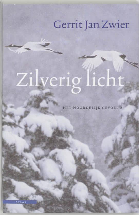 zilverig-licht Zilverig licht