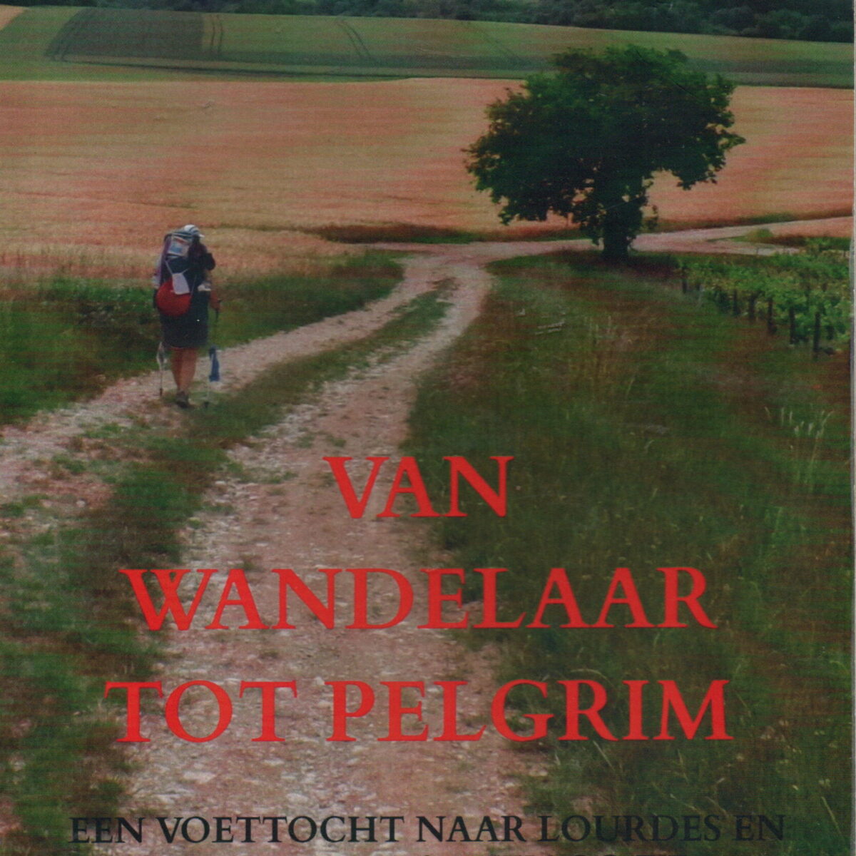 Van wandelaar tot pelgrim - Een voettocht naar Lourdes en door naar Santiago de Compostella -