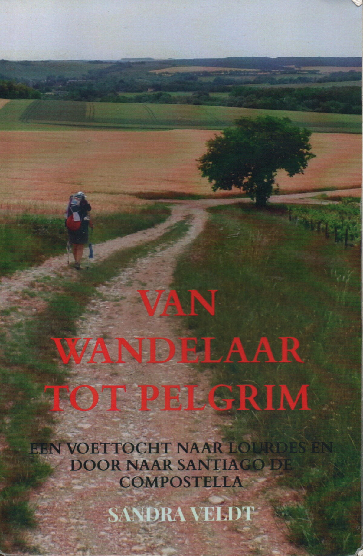 Scan_20251128-3-scaled Van wandelaar tot pelgrim - Een voettocht naar Lourdes en door naar Santiago de Compostella -