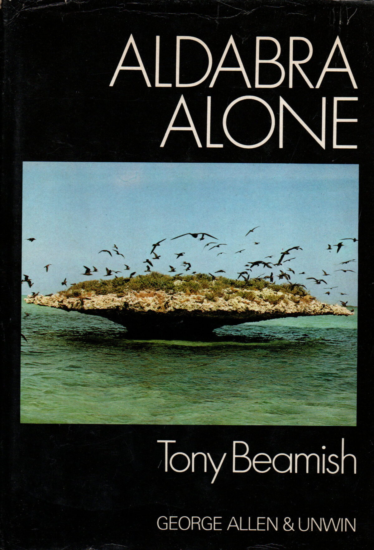 Scan_20251129-6-scaled Aldabra Alone