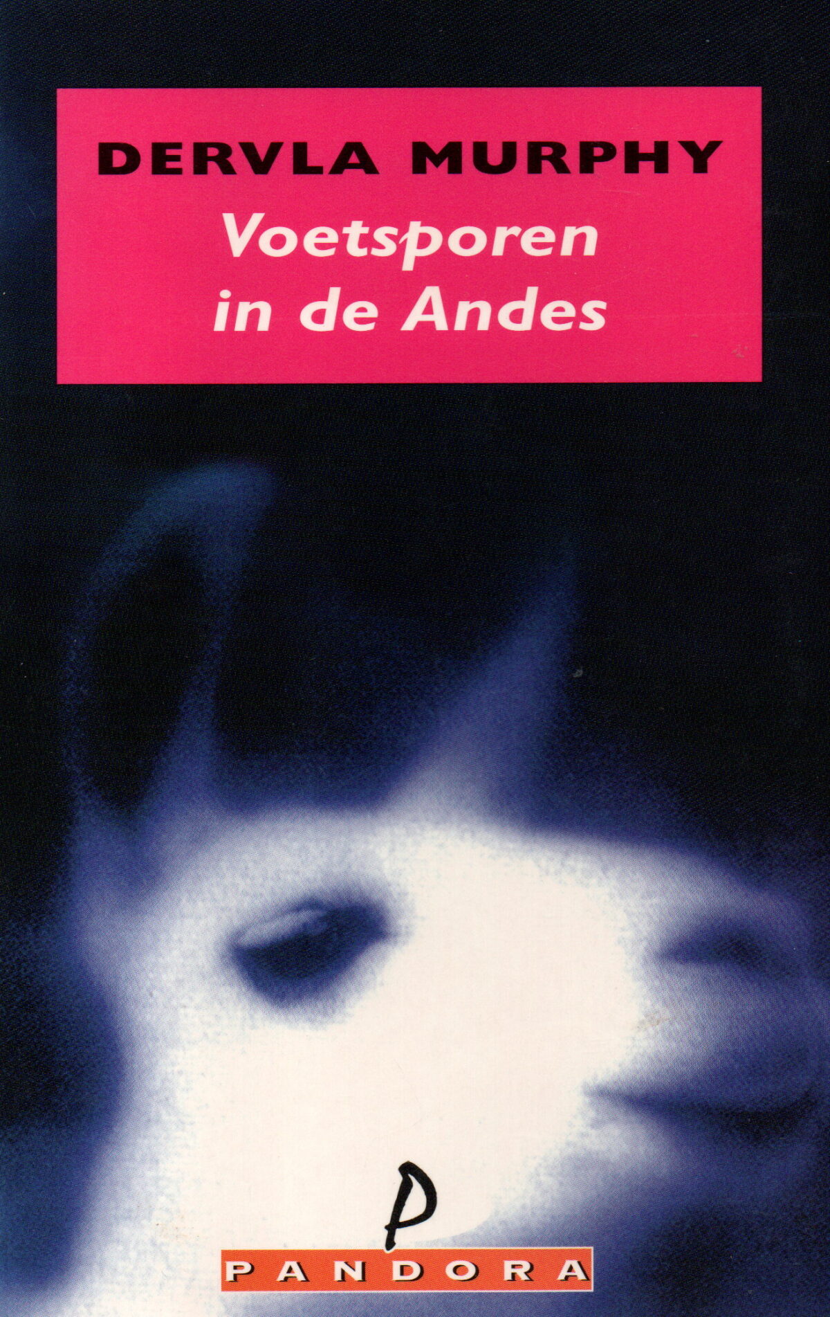 Voetsporen in de Andes