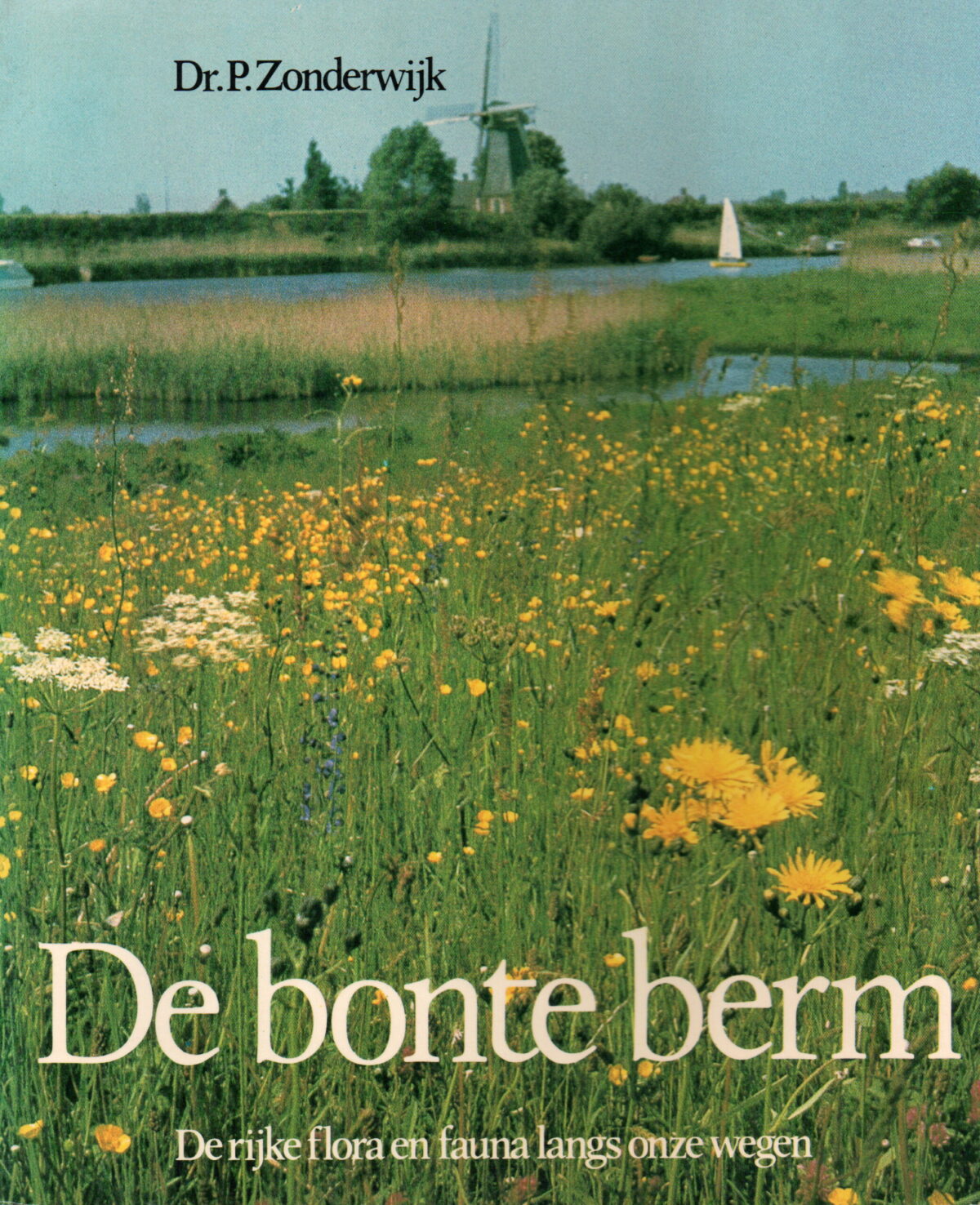 Scan_20251201-6-scaled De bonte berm - De rijke flora en fauna langs onze wegen -