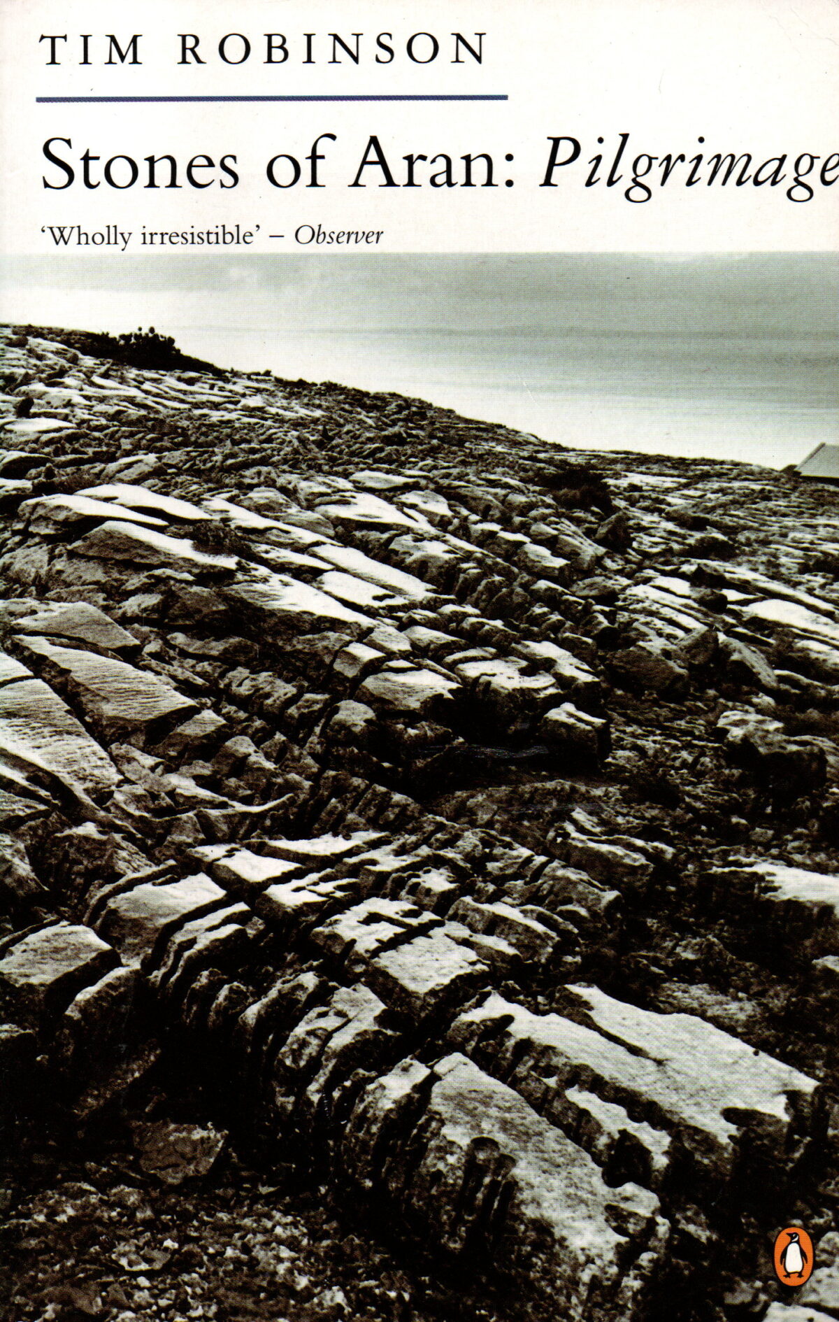 Scan_20260101-1 Stones of Aran: Pilgrimage