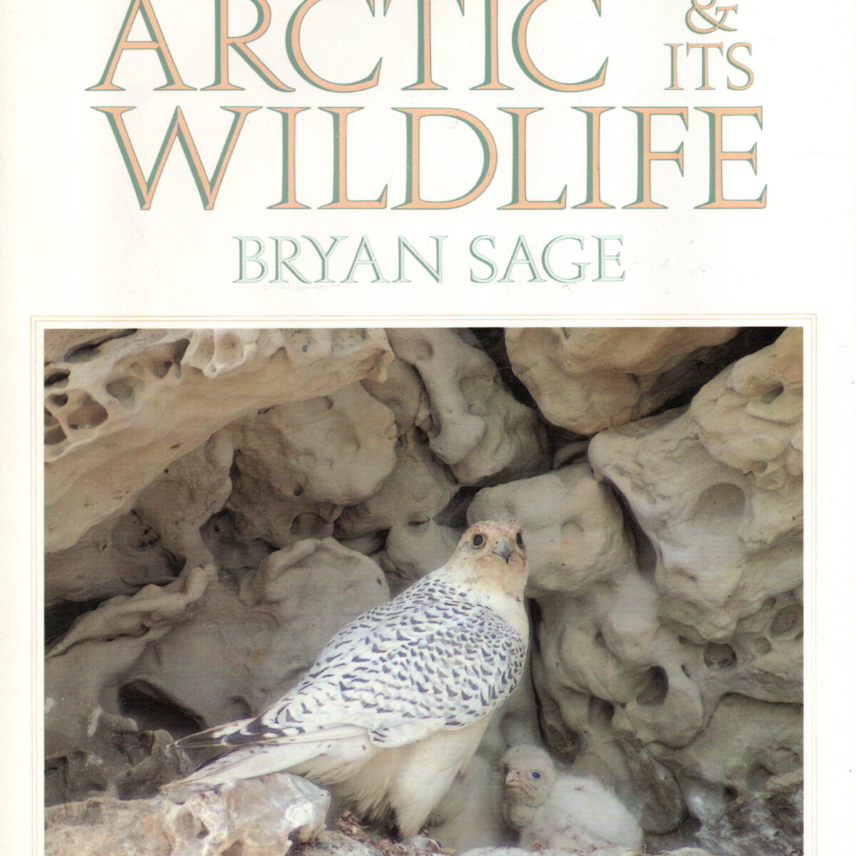 The Arctic & its Wildlife
